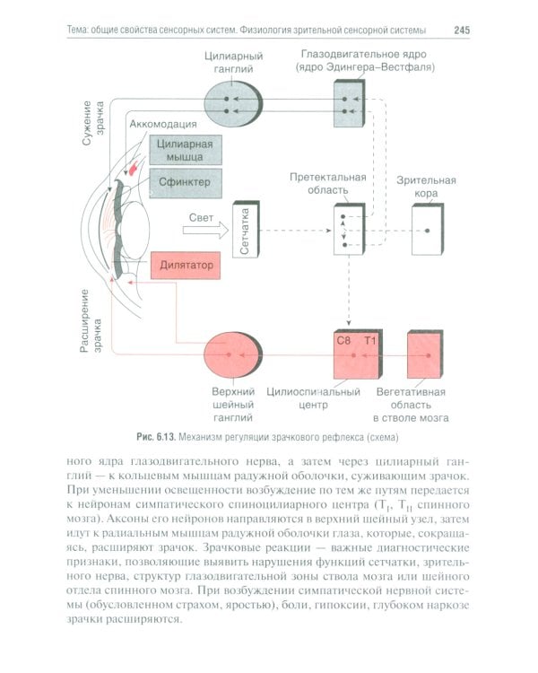 Нормальная физиология. Руководство к практическим занятиям