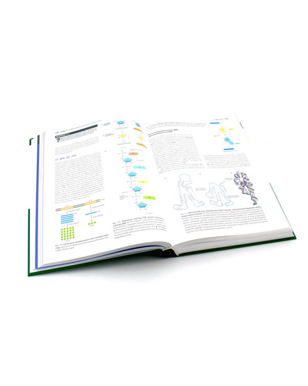 Основы молекулярной биологии клетки. 3-е изд., полн., перераб. и расш