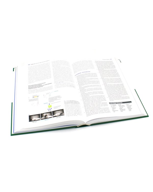 Основы молекулярной биологии клетки. 3-е изд., полн., перераб. и расш