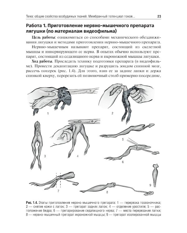 Нормальная физиология. Руководство к практическим занятиям