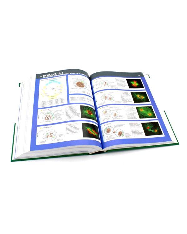 Основы молекулярной биологии клетки. 3-е изд., полн., перераб. и расш