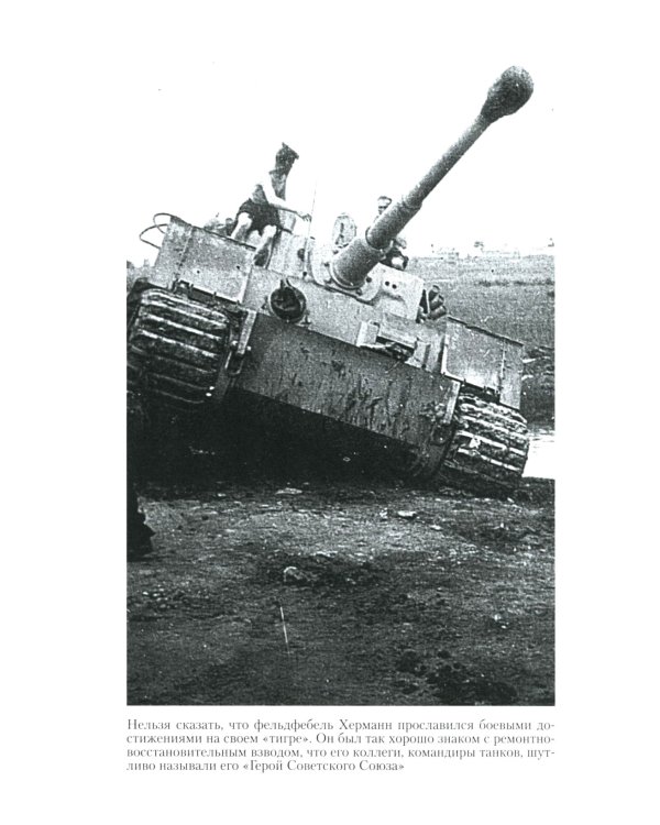 Тигры в грязи. Воспоминания немецкого танкиста (1941-1944)