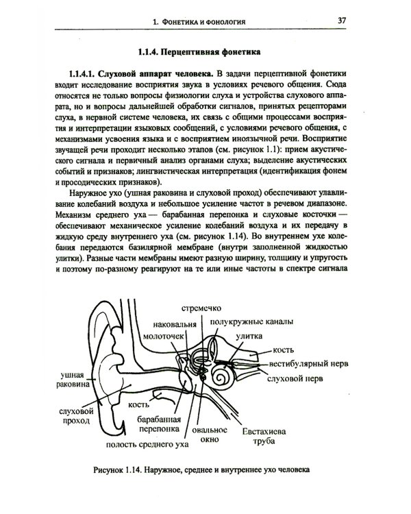 Введение в науку о языке: лингвистика XXI века: Т. 1: Теория языка. Язык и познание. 2-е изд., испр. и доп. (обл.)