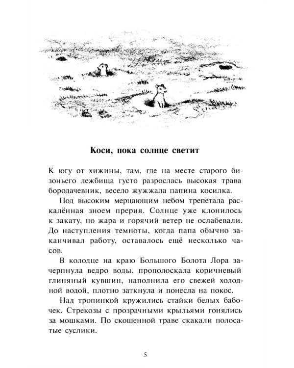 Долгая зима