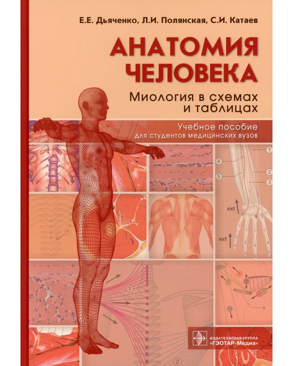 Анатомия человека: миология в схемах и таблицах: Учебное пособие