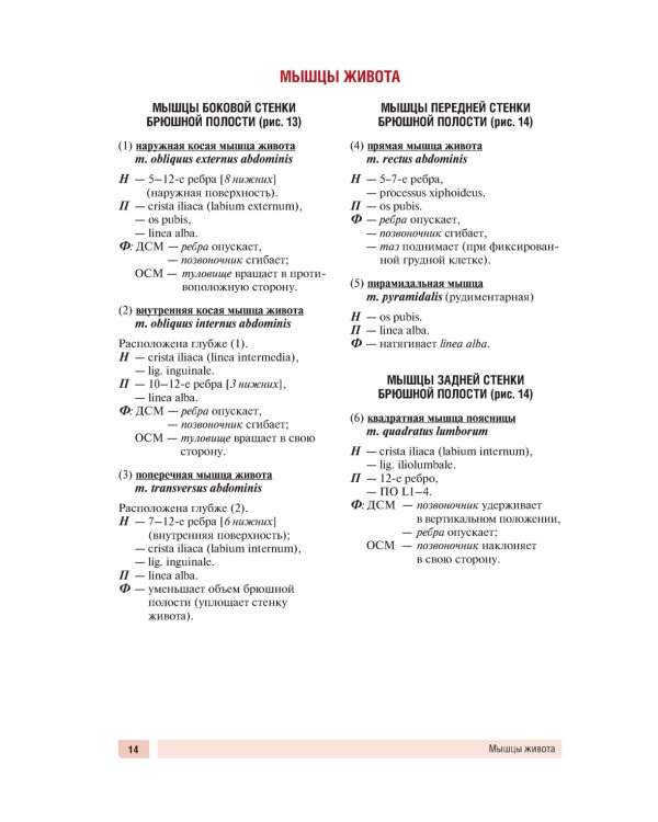 Анатомия человека: миология в схемах и таблицах: Учебное пособие