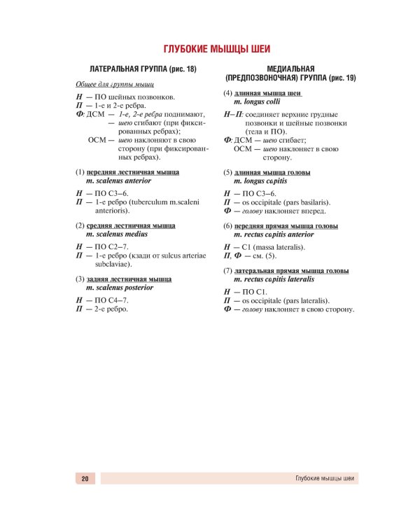 Анатомия человека: миология в схемах и таблицах: Учебное пособие
