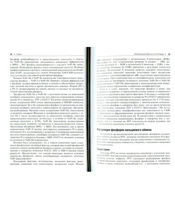 Минеральные и костные нарушения при хронической болезни почек: руководство для врачей