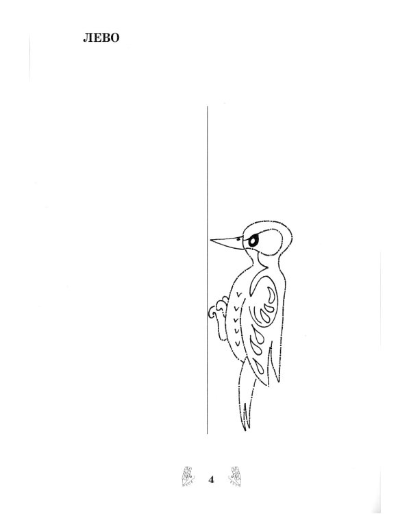 Развитие межполушарного взаимодействия у детей: рабочая тетрадь