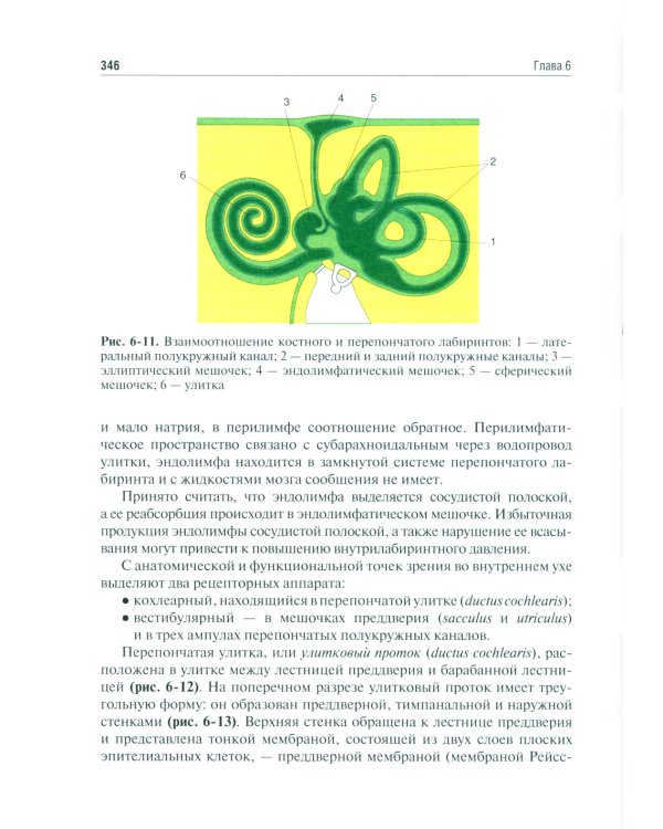 Оториноларингология: Учебник. 5-е изд., перераб. и доп