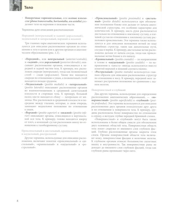 Анатомия Грея для студентов: Учебник для студентов мед. ВУЗов. 3-е изд
