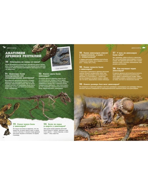 Динозавры. 200 вопросов и ответов