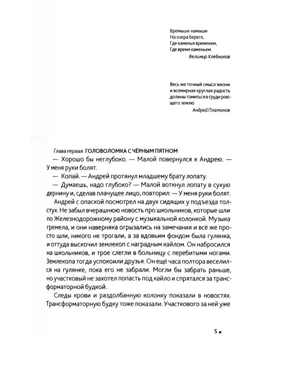 Горит камыш