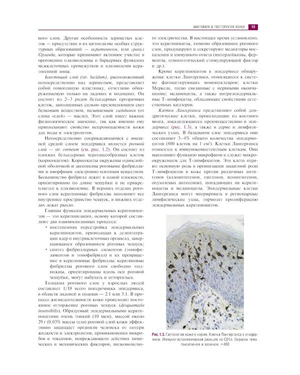 Клиническая дерматология. Иллюстрированное руководство для врачей. 2-е изд., перераб.и доп