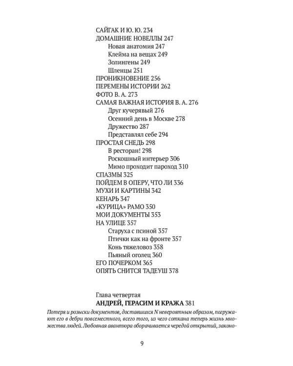 Фланер: роман