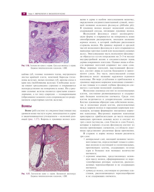 Клиническая дерматология. Иллюстрированное руководство для врачей. 2-е изд., перераб.и доп