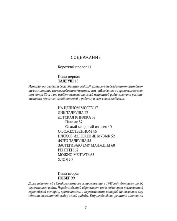 Фланер: роман