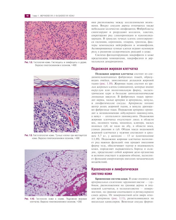 Клиническая дерматология. Иллюстрированное руководство для врачей. 2-е изд., перераб.и доп