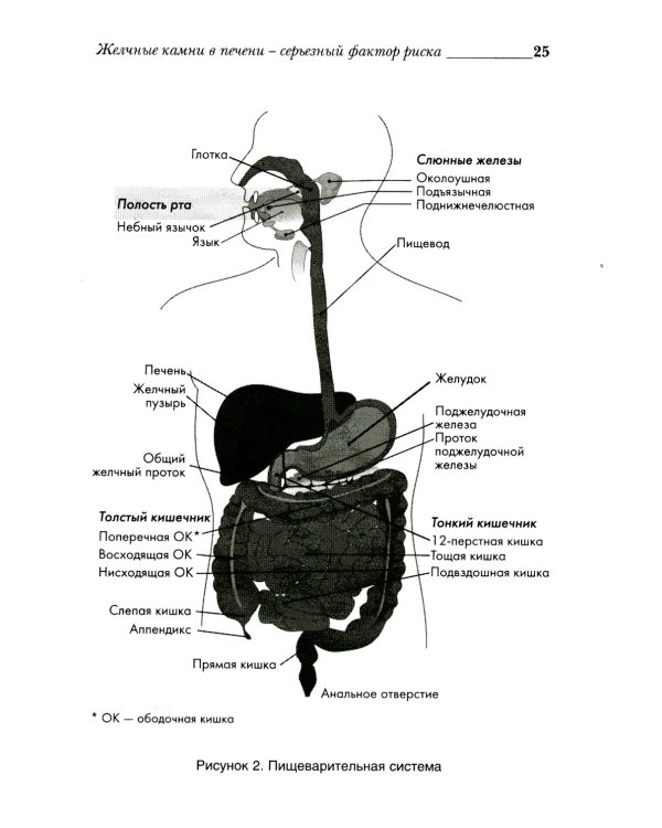 Удивительное очищение печени и желчного пузыря