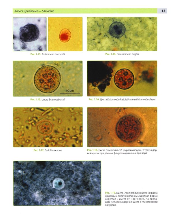 Атлас по медицинской паразитологии: Учебное пособие