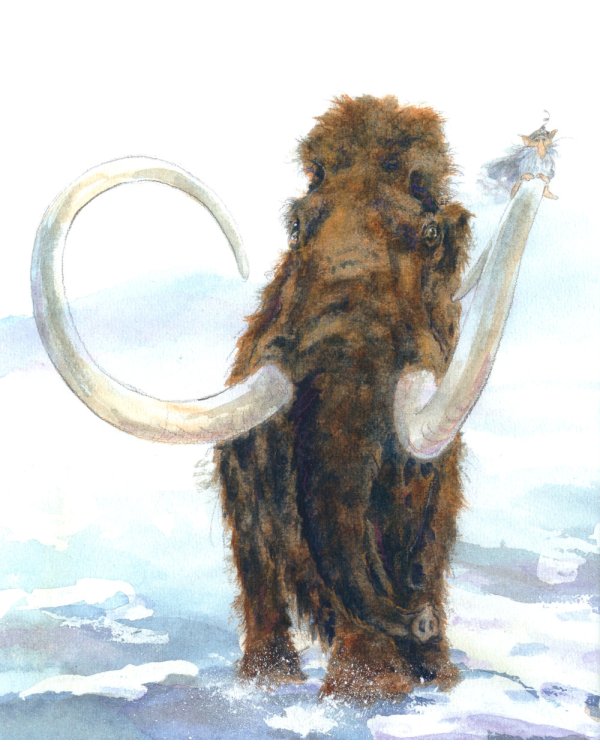 Туманный человечек с Боденского озера