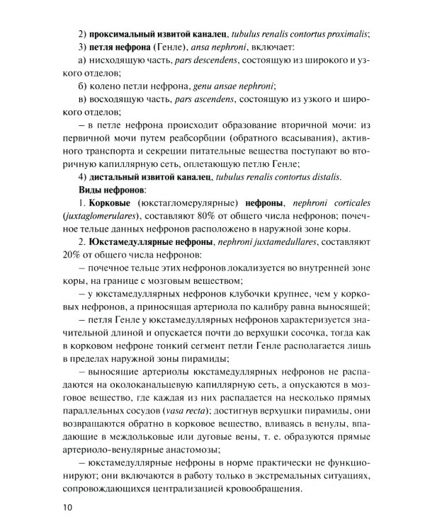 Анатомия органов мочеполовой системы: Учебное пособие. 13-е изд., перераб. и доп