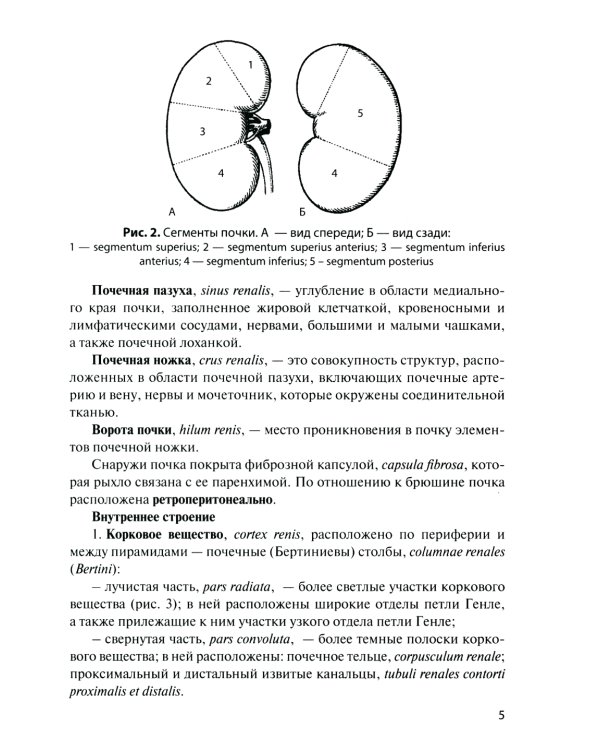 Анатомия органов мочеполовой системы: Учебное пособие. 13-е изд., перераб. и доп