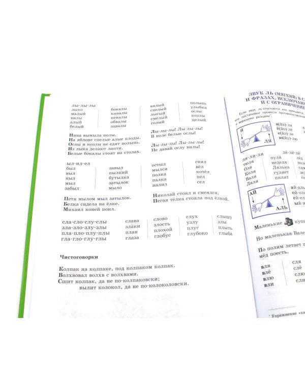 Логопедия. Основы теории и практики; Уроки логопеда. Исправление нарушений речи (комплект из 2-х книг)