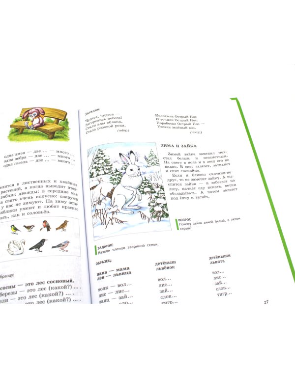 Логопедия. Основы теории и практики; Уроки логопеда. Исправление нарушений речи (комплект из 2-х книг)