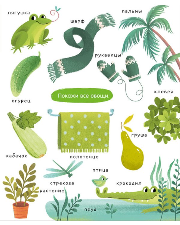 Большая книга. Цвета