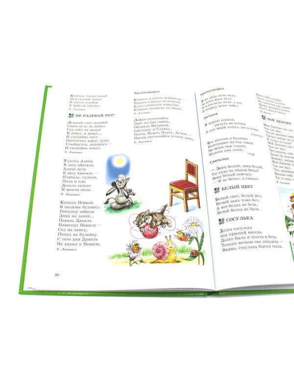 Логопедия. Основы теории и практики; Уроки логопеда. Исправление нарушений речи (комплект из 2-х книг)