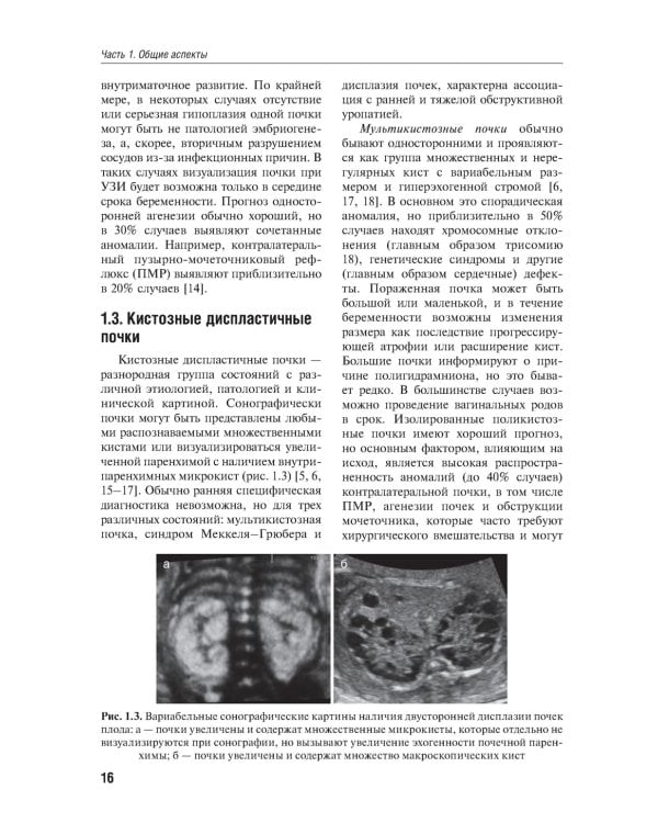 Детская урология. Современные операционные методики: от внутриутробного периода развития до пубертата