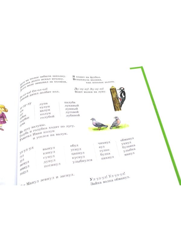 Логопедия. Основы теории и практики; Уроки логопеда. Исправление нарушений речи (комплект из 2-х книг)