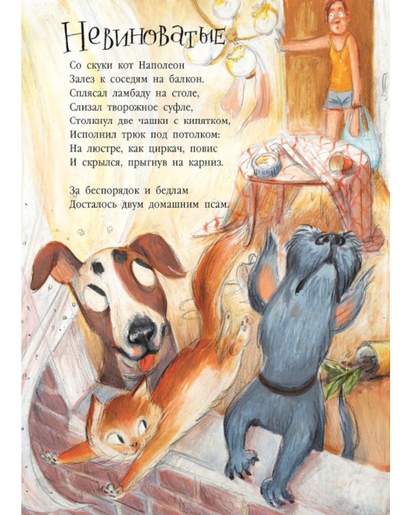 Целый букет котов