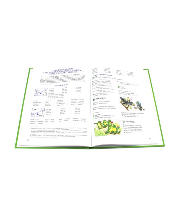 Логопедия. Основы теории и практики; Уроки логопеда. Исправление нарушений речи (комплект из 2-х книг)