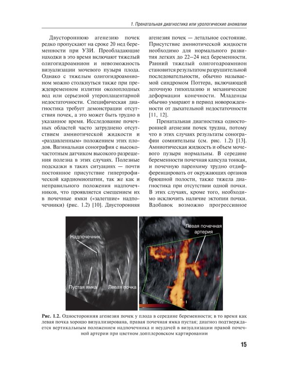 Детская урология. Современные операционные методики: от внутриутробного периода развития до пубертата