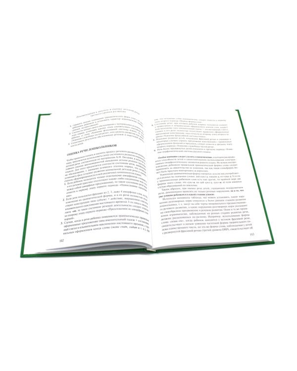 Логопедия. Основы теории и практики; Уроки логопеда. Исправление нарушений речи (комплект из 2-х книг)