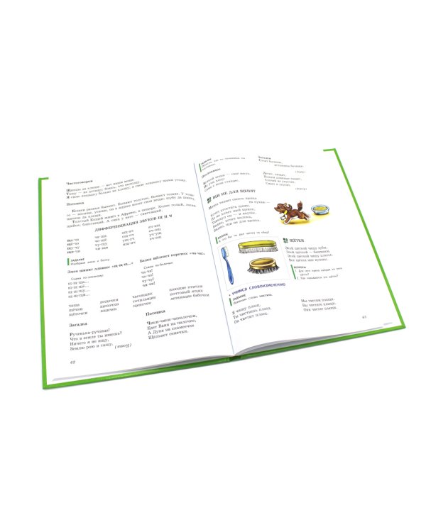 Логопедия. Основы теории и практики; Уроки логопеда. Исправление нарушений речи (комплект из 2-х книг)