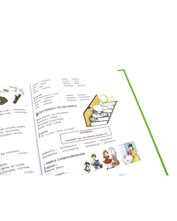 Логопедия. Основы теории и практики; Уроки логопеда. Исправление нарушений речи (комплект из 2-х книг)