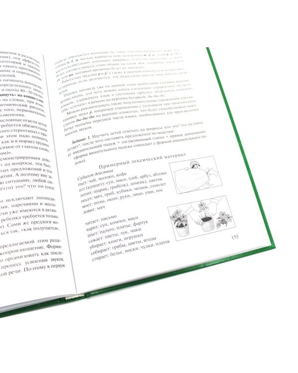 Логопедия. Основы теории и практики; Уроки логопеда. Исправление нарушений речи (комплект из 2-х книг)