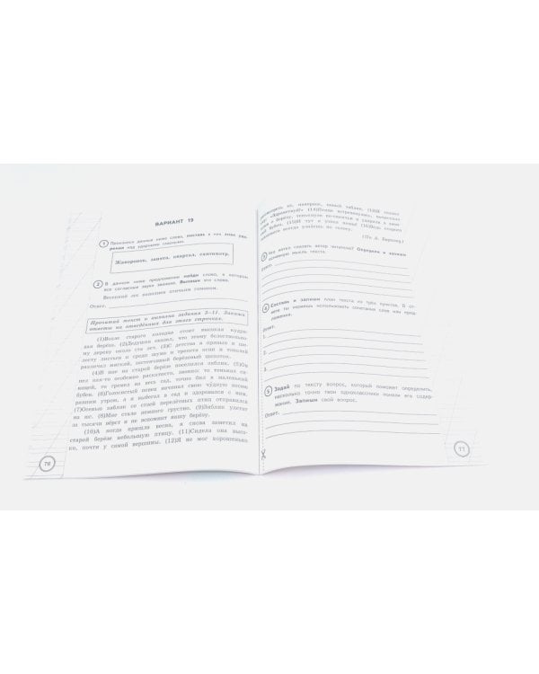 ВПР 4 кл. Русский язык, Математика. 25 вар. (комплект из 2-х книг)