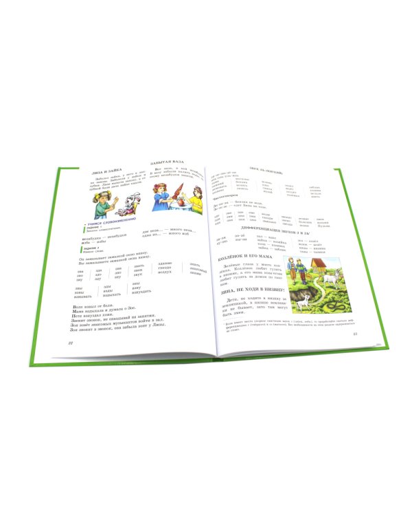 Логопедия. Основы теории и практики; Уроки логопеда. Исправление нарушений речи (комплект из 2-х книг)