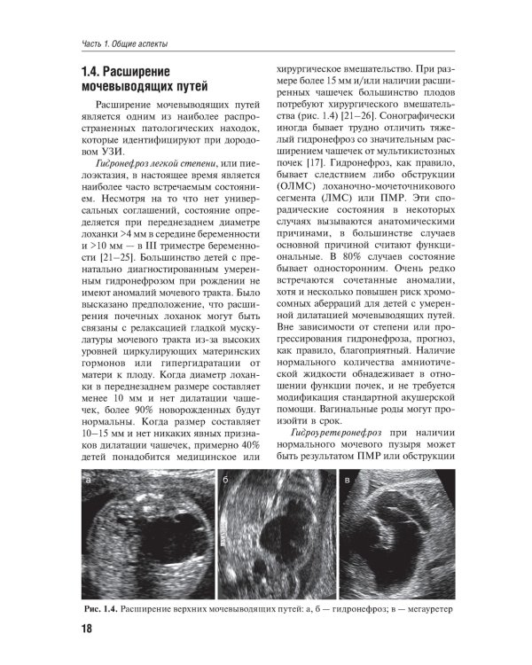 Детская урология. Современные операционные методики: от внутриутробного периода развития до пубертата