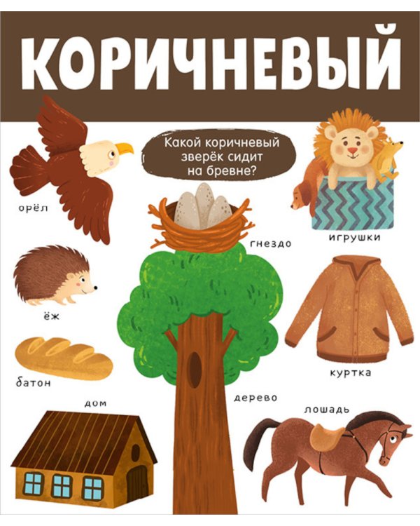 Большая книга. Цвета