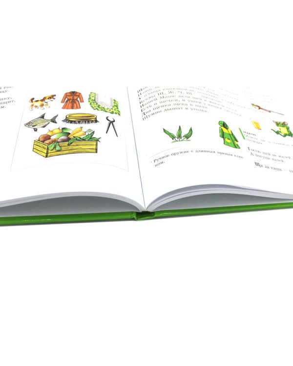 Логопедия. Основы теории и практики; Уроки логопеда. Исправление нарушений речи (комплект из 2-х книг)