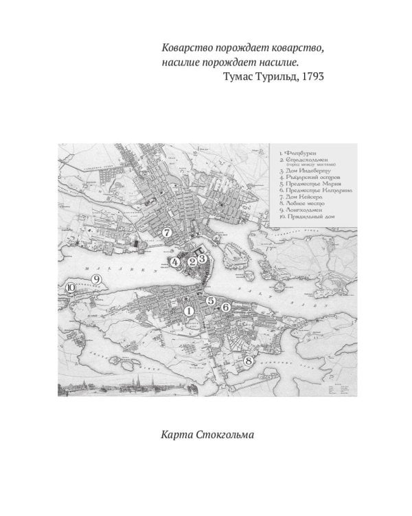 1793. История одного убийства: роман