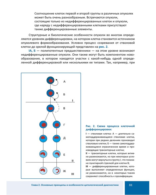 Цитологическая диагностика