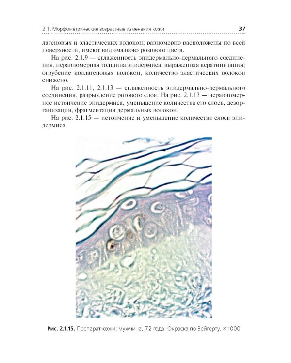 Комплексная оценка возрастных изменений при судебно-медицинской идентификации личности: Учебное пособие