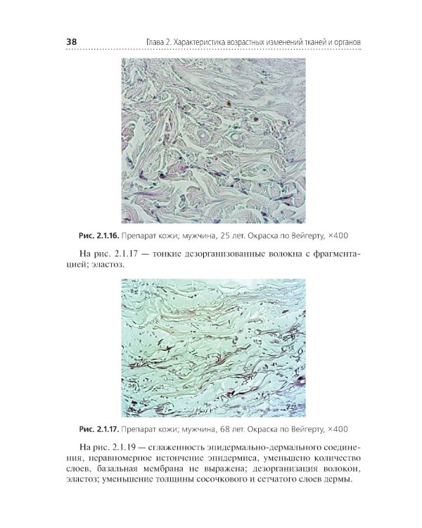 Комплексная оценка возрастных изменений при судебно-медицинской идентификации личности: Учебное пособие