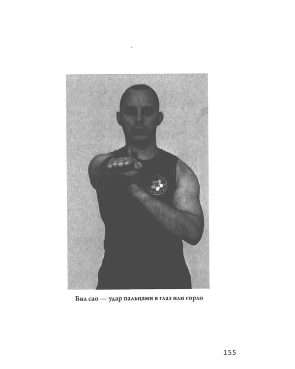 Другой Вин Чун. Боевое искусство без границ. 2-е изд